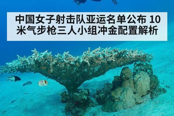 中国女子射击队亚运名单公布 10米气步枪三人小组冲金配置解析 | kaiyun